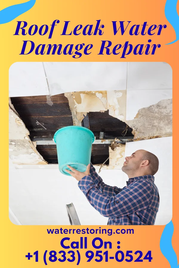Roof Leak Water Damage Repair in Denver, IN