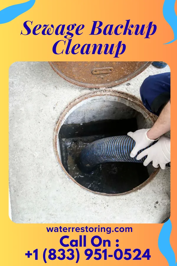 Sewage Backup Cleanup in Denver, IN