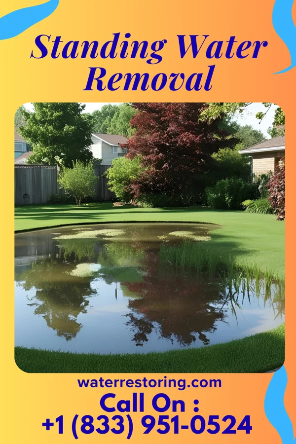Standing Water Removal in Denver, IN